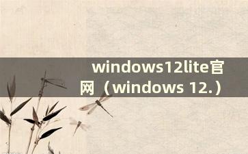 windows12lite官网（windows 12.）